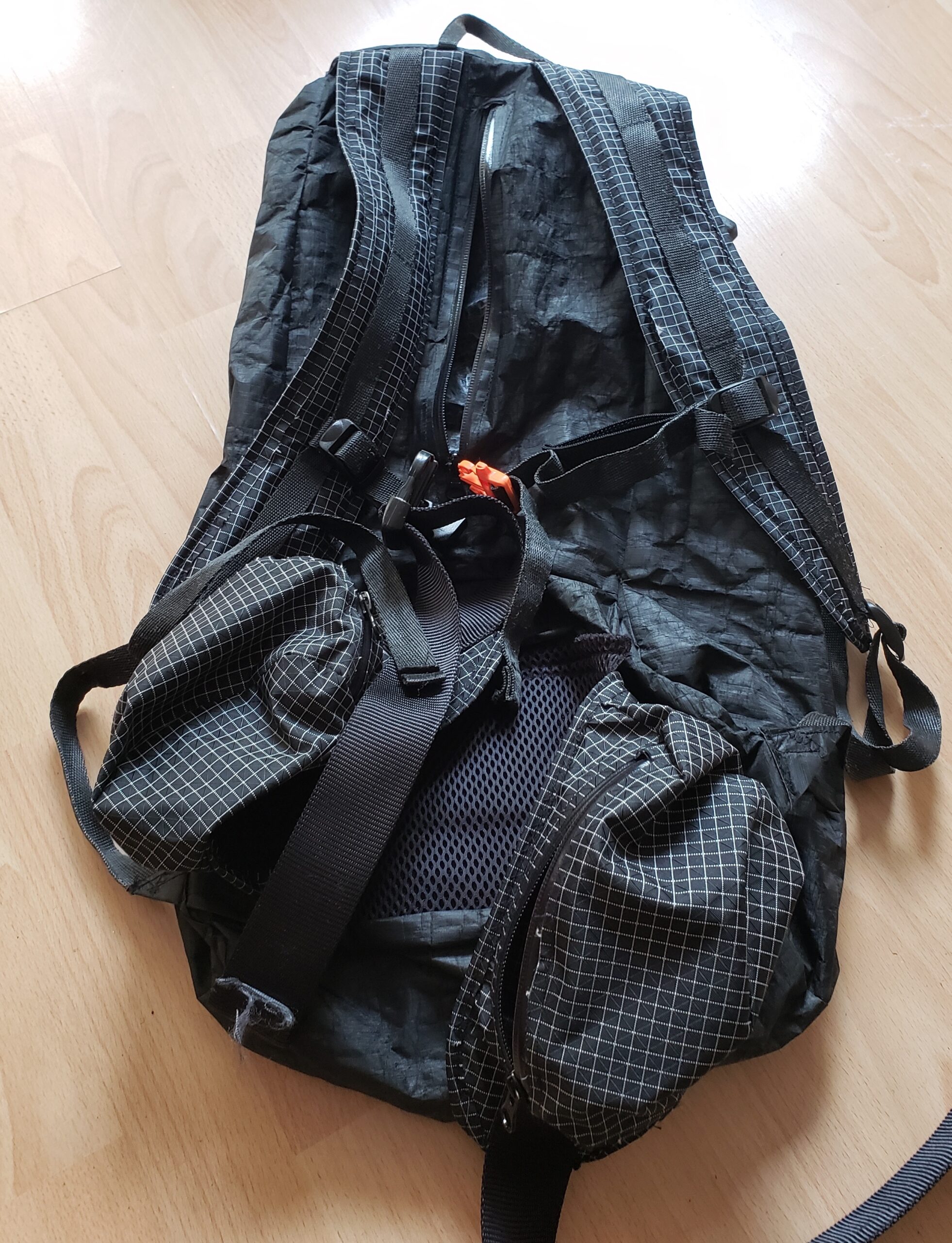 DCF Daypack - Image 2