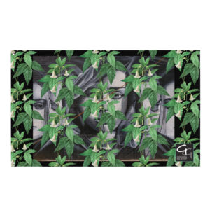 GermanGuideNYC Williamsburg Fahne